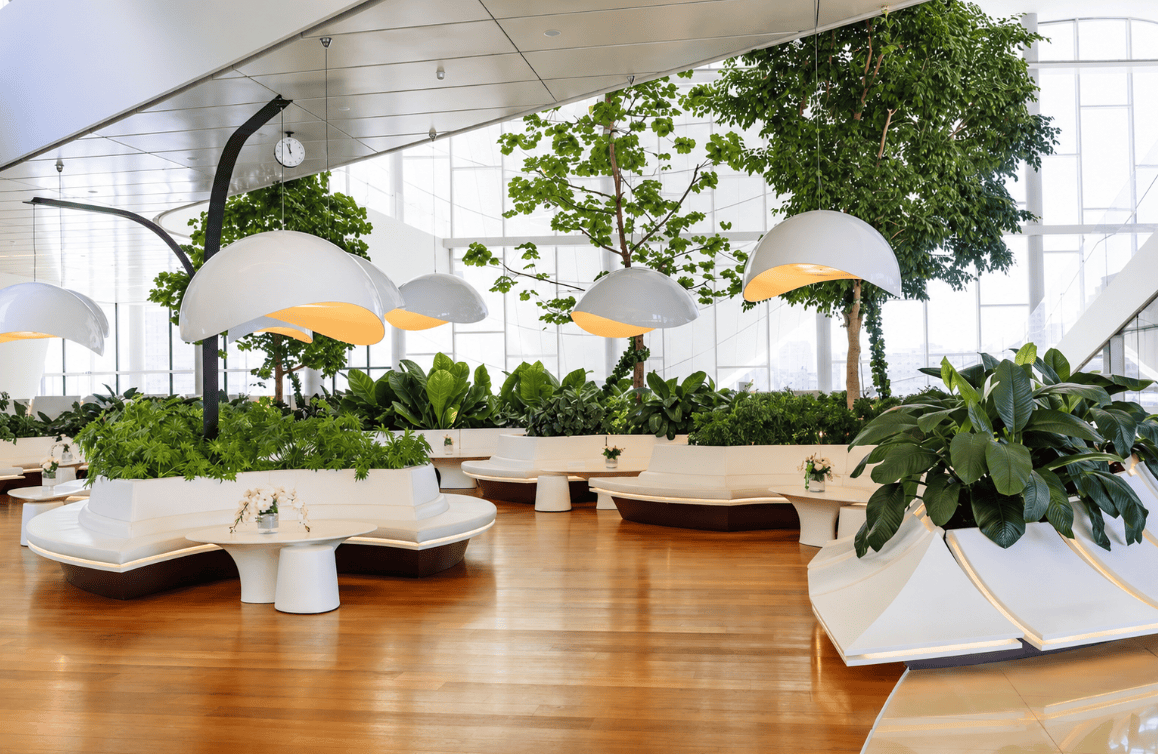 Bright office lounge with indoor trees and planter seating.