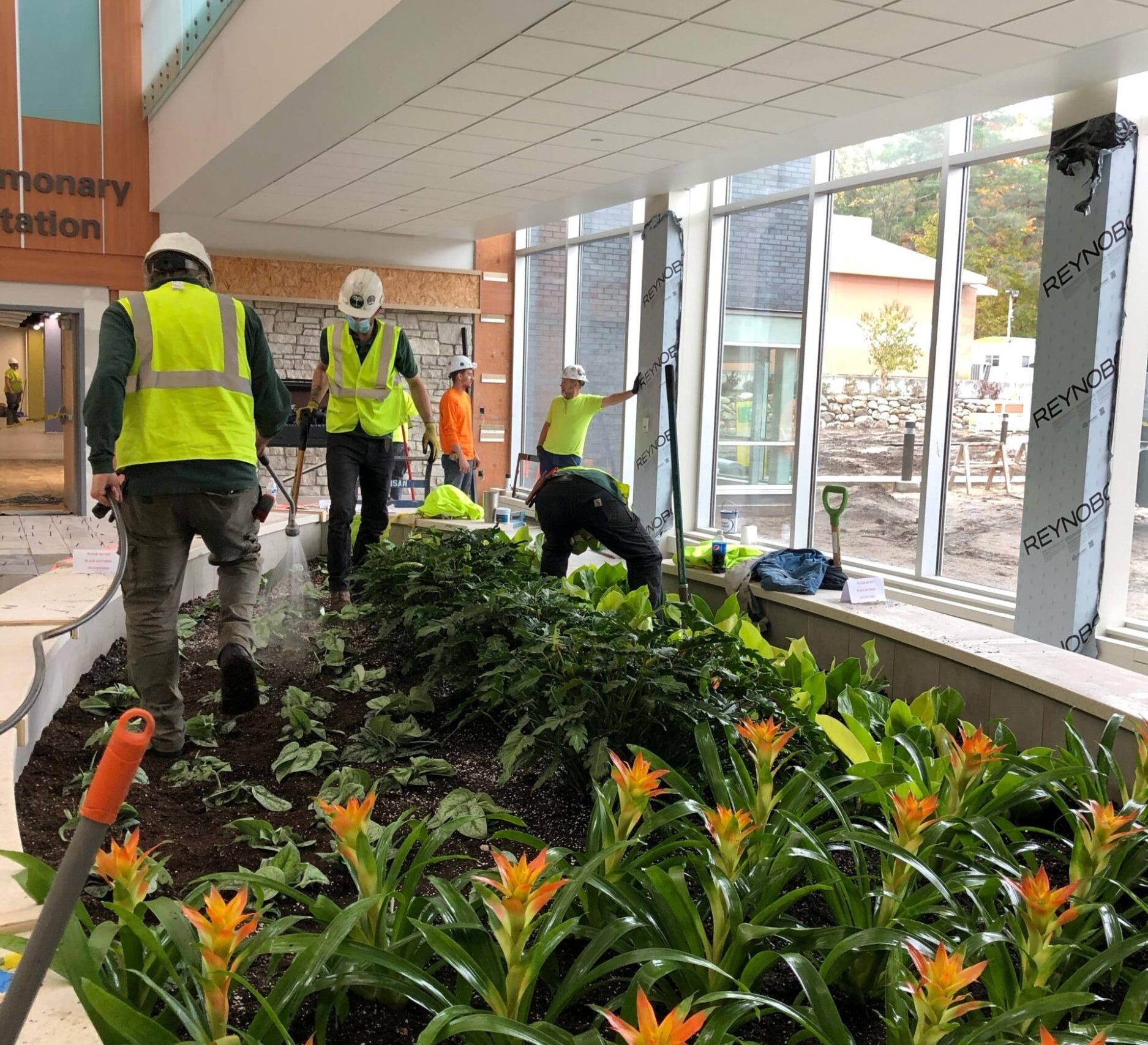 Workers installing a large-scale indoor plant display in a commercial facility.
