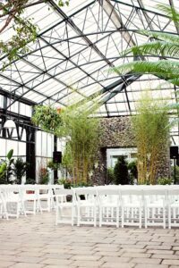 Bamboo palms providing natural screening inside a glass atrium.